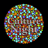 Culture Night 2012